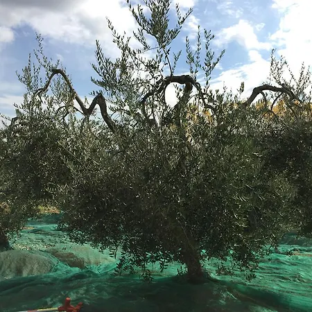 Séjour à la ferme San Giovanni Cetona