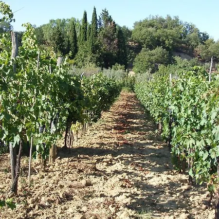 Séjour à la ferme San Giovanni *