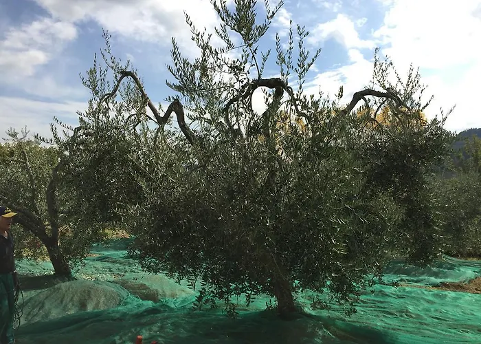 Vakantieboerderij San Giovanni Cetona