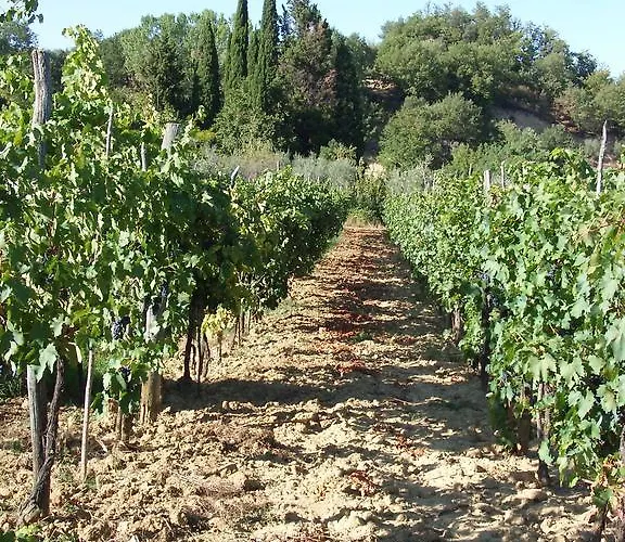 Vakantieboerderij San Giovanni *